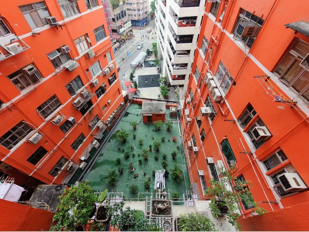 招待所 金翔酒店 香港 中国